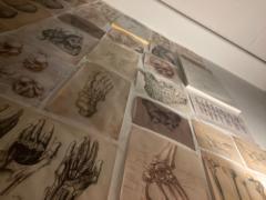 Melánie Demeterová