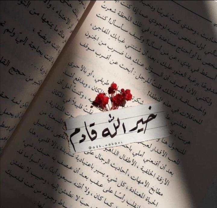 Heba Nagieb