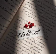 Heba Nagieb