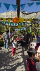 Nelson Aracena