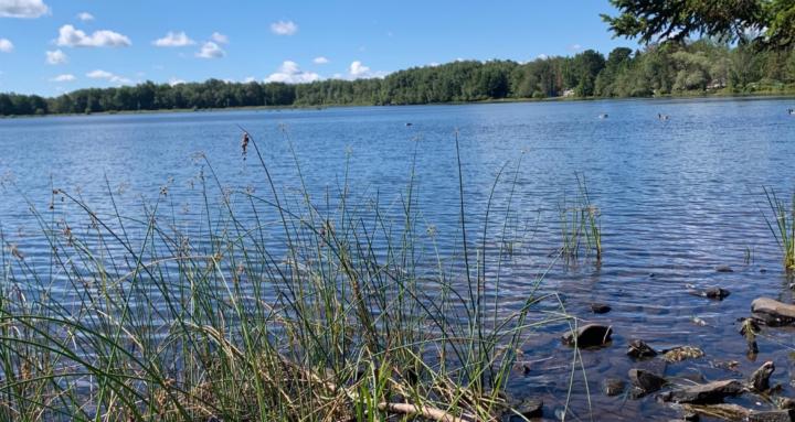 Bella Bean’s Expression Lab