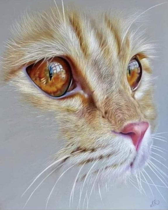 Petit Catherine
