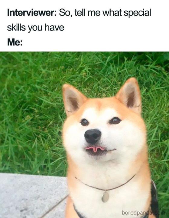 I am Roxana, a Tech Recruiter