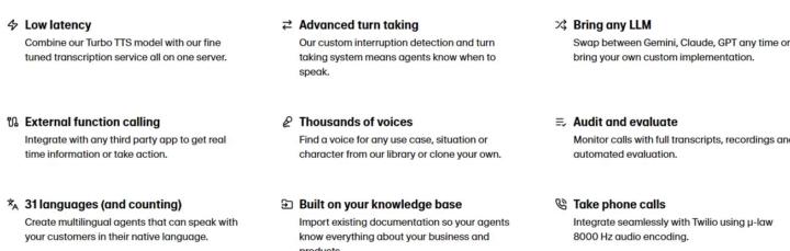 New Player in Voice AI Industry