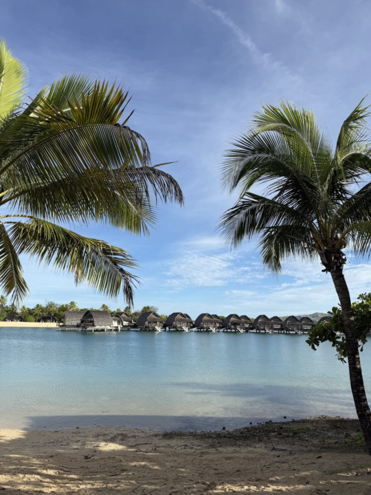 Merry Christmas & Happy Holidays 🎄