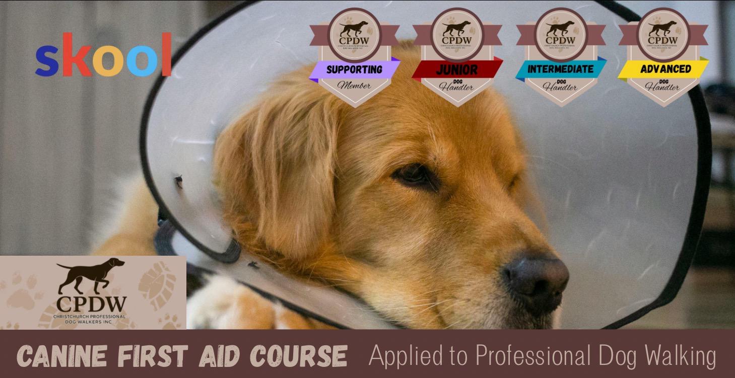 Canine First Aid Course