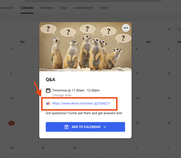 Our First LIVE Q&A! 