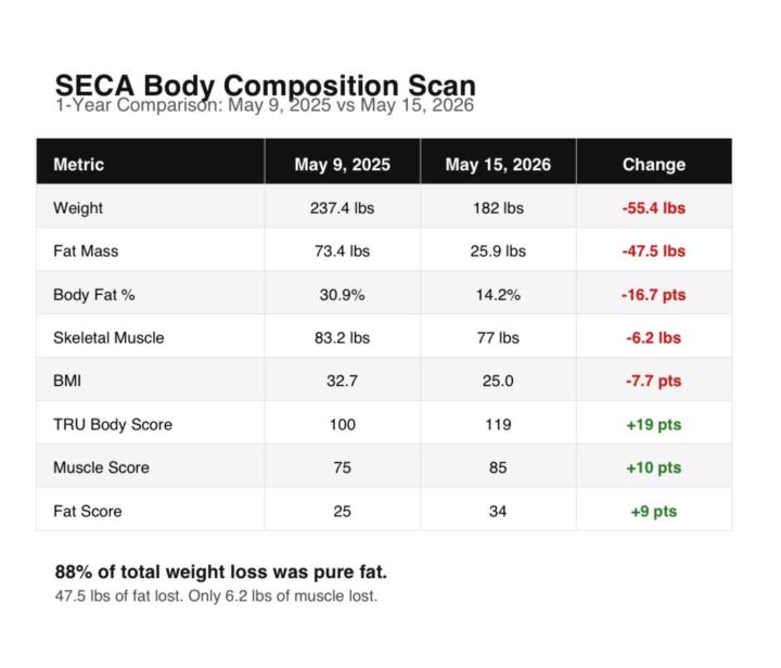 My 1 Year Body Composition Results