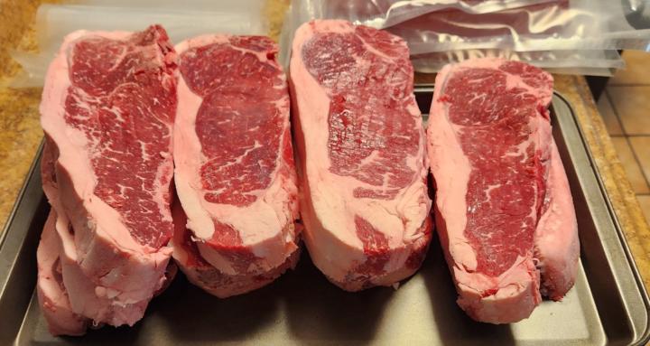 Carnivore Men's Group