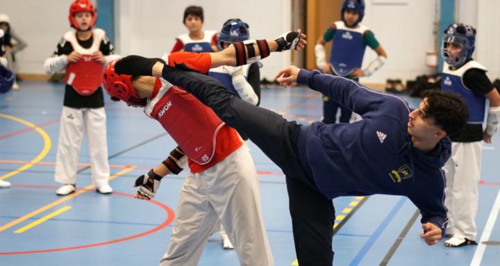 The Complete Taekwondo System