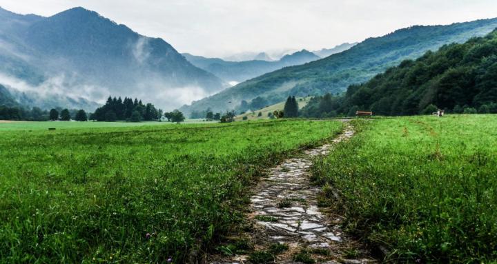 A Writer's Journey