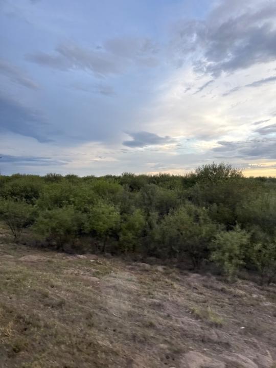 Maria Jorgelina Bayón