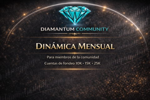 DIAMANTUM COMMUNITY gallery image