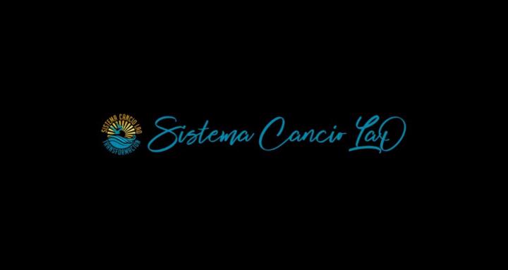SISTEMA CANCIO LAO SL