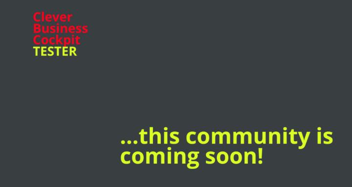 Clever Business Cockpit Tester