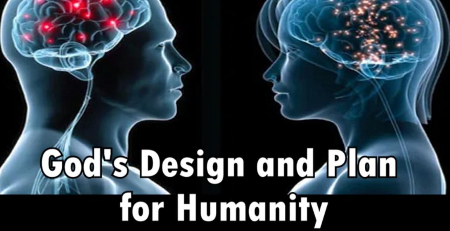 God's Design and Plan for Humanity