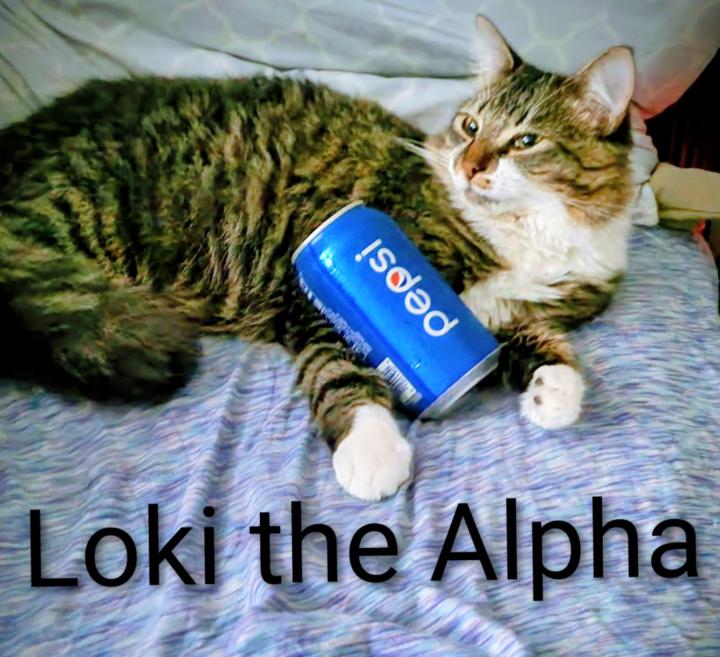 Welcome to becoming a Badass Bitch 101