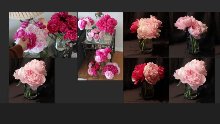 New to Group - Hello!