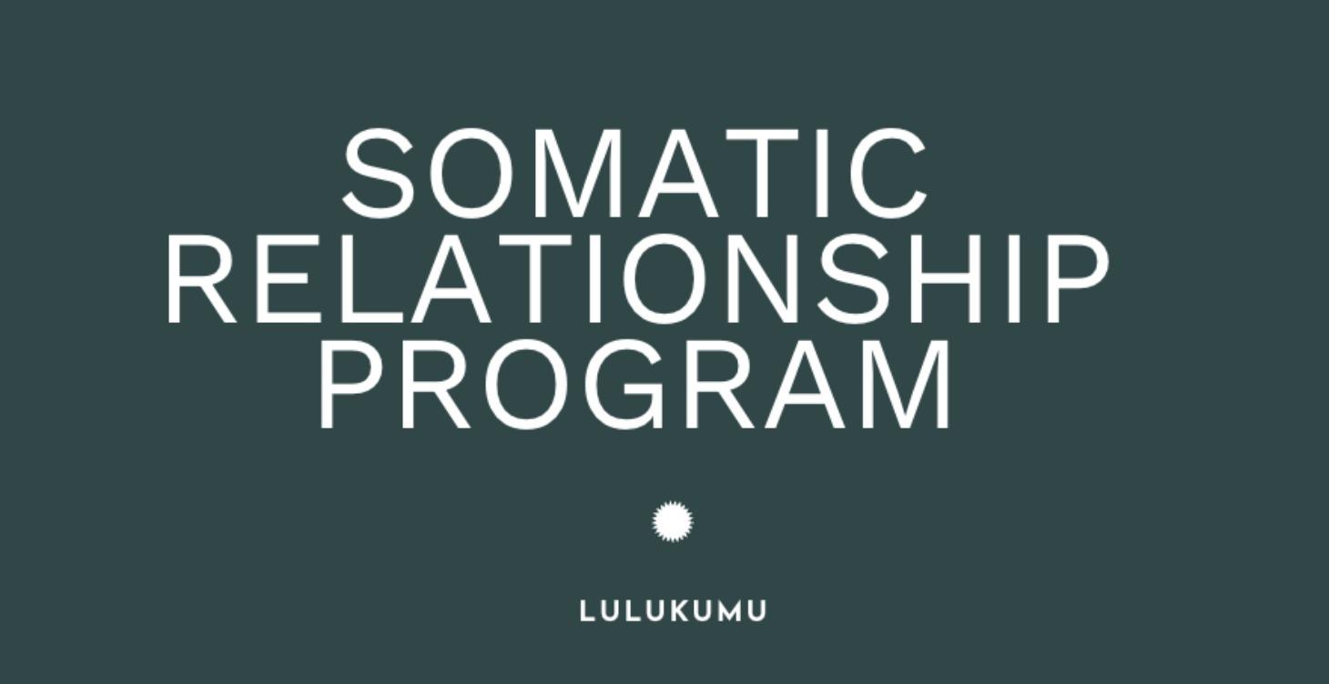 Somatic Relationship Program