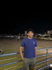 Ritvik Aggarwal