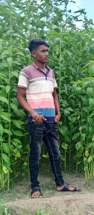 Robiul Islam