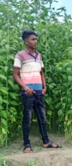 Robiul Islam