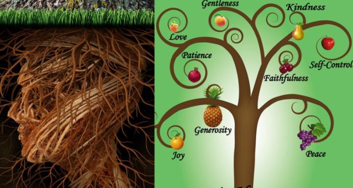 Roots & Fruits!