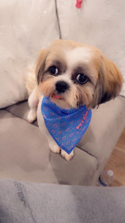 Amalia Susana Fortune