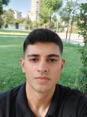 Mehmet Ali Ergin