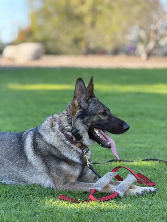 Adrian Torres Correa