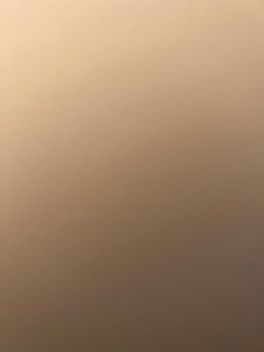 جميلة الغامدي