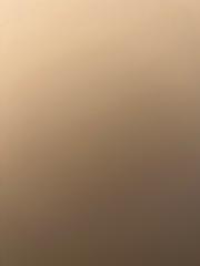 جميلة الغامدي