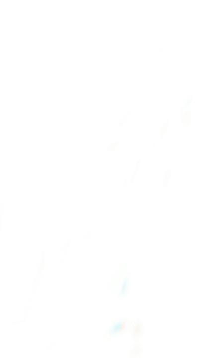 Carlina Budi Hartono