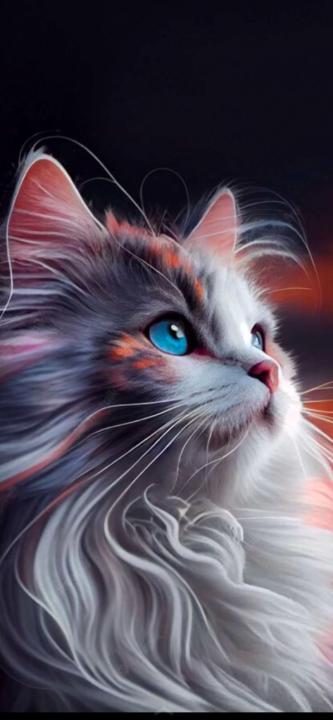 ميثاء موزان