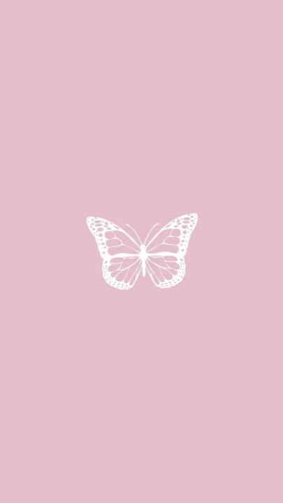 Alae Tem
