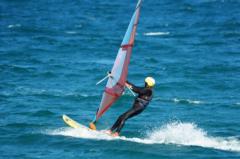 Michel Houillon