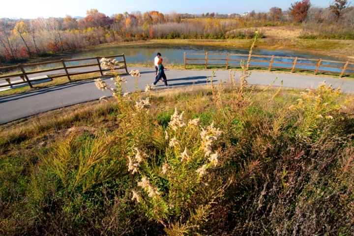 Hidden Gem of the Week🤫