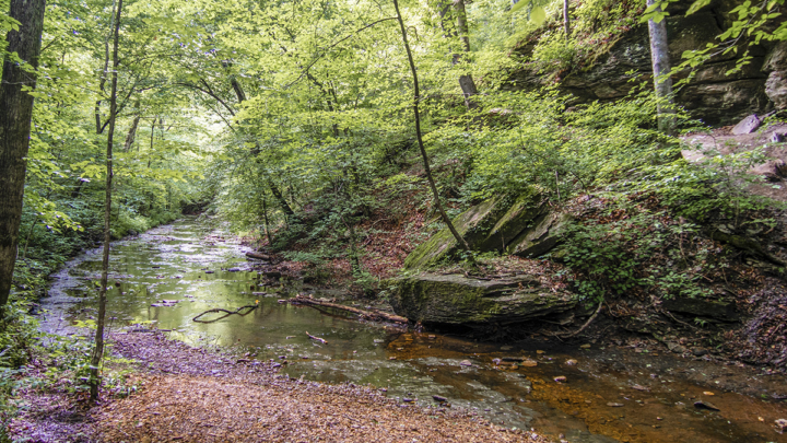 Hidden Gem of the Week 💥