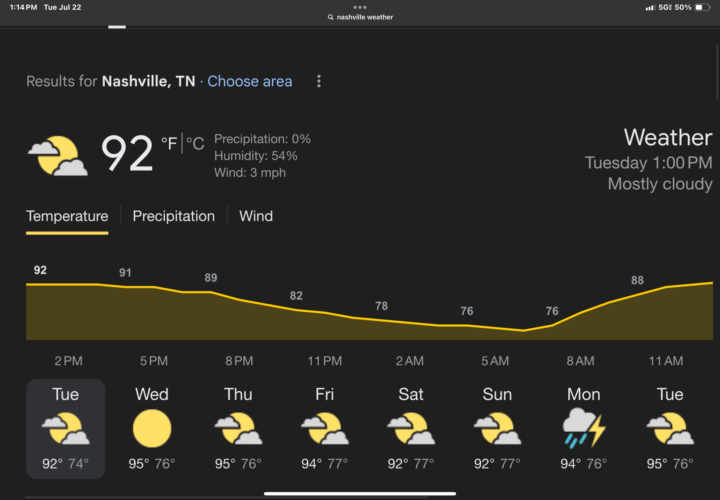 Beautiful summer day 