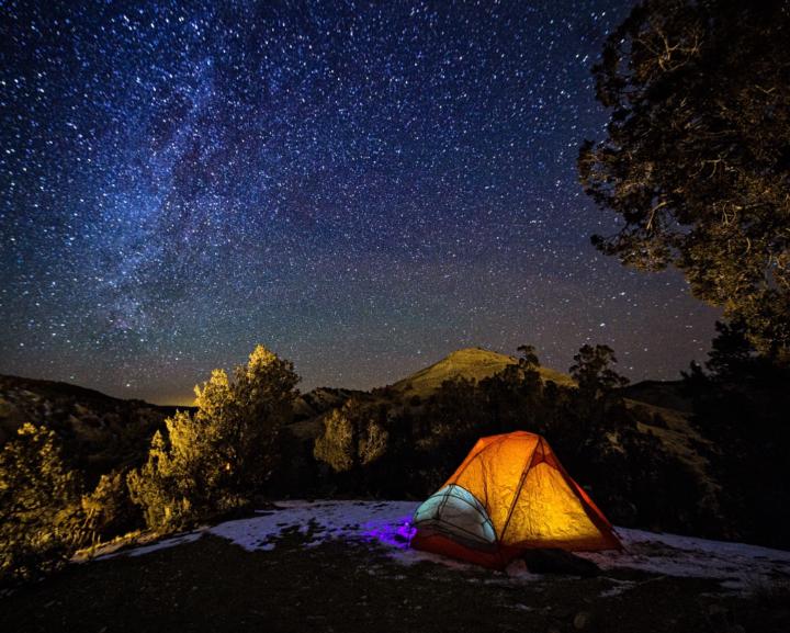 Rose Merline Etienne