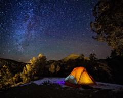 Rose Merline Etienne