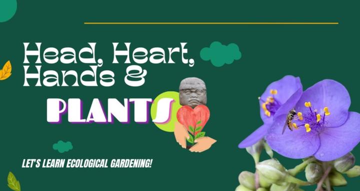 Head, Heart, Hands & Plants