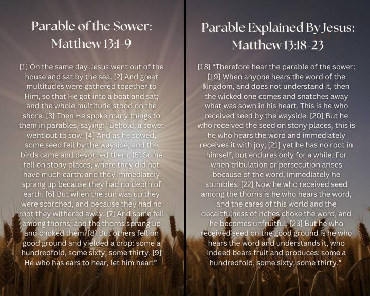 The Parable of the Sower🌱