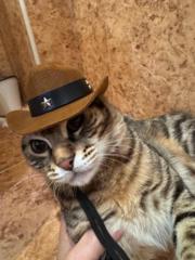 Noa Ruiz-DORIZZI Pascual