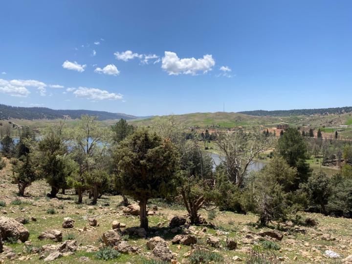 Nacira Maha