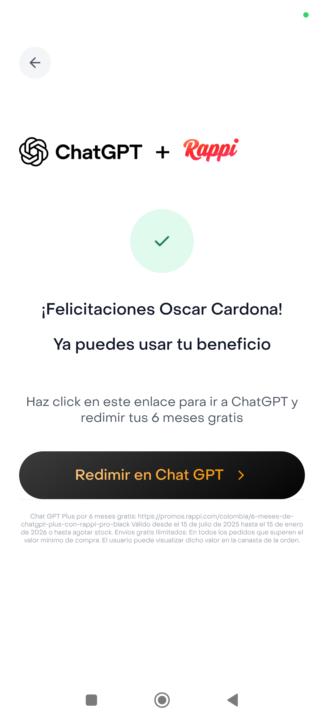 Chat Gpt $30.000 x 6 meses 