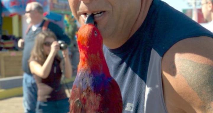 TheBirdsNest