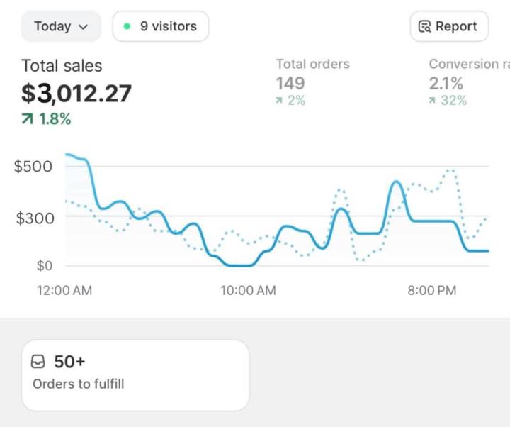 How I made my 5 figures with Shopify dropshipping 