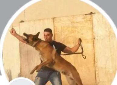 משה גואטה