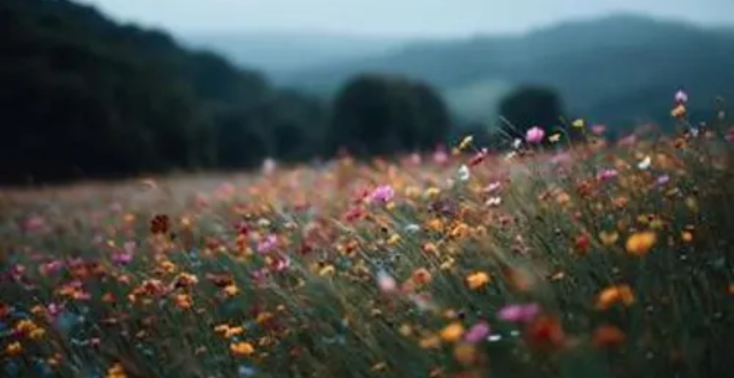 IRREPLACEABLE EVERYDAY DISCIPLINES